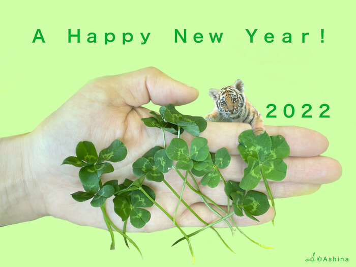 ＜深呼吸の時間＞<br>A happy new year!