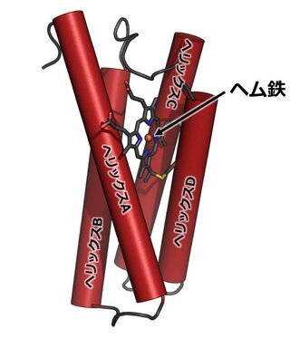 cytochromec_fig1.jpg