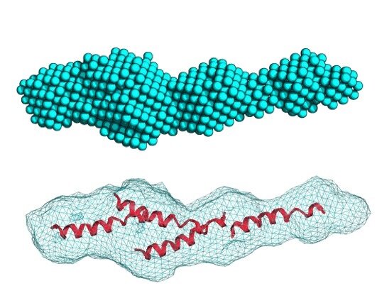 タンパク質のほどけた中間状態の構造を中性子によって決定<brタンパク質が折りたたまれる機構の解明や創薬への展開に期待