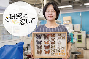 昆虫の「色」はどうやってつくられる？色素や遺伝子の研究から応用技術も【寄稿】理工学研究科（理学野）准教授　二橋 美瑞子
