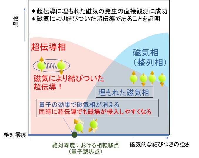 素粒子ミュオンで捉えた！超伝導に埋もれた微弱な磁気の発見<br>―超伝導発現機構の解明に向けて前進―