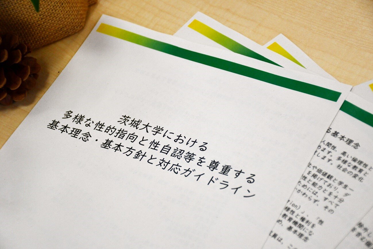 【前篇】多様な性的指向・性自認等の尊重のためのガイドラインを策定 <br>ー背景やビジョンを菊池あしな理事＆沼田世里講師に聞く