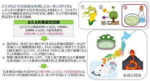 二酸化炭素を直接利用する微生物によるバイオものづくりを促進ー茨大を含む8機関がGI基金事業に参画