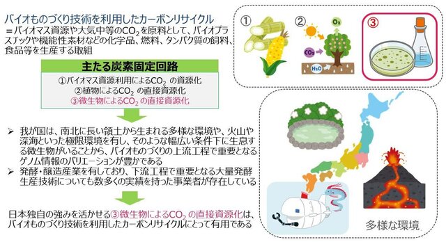 二酸化炭素を直接利用する微生物によるバイオものづくりを促進<br>ー茨大を含む8機関がGI基金事業に参画