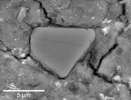 リュウグウの炭酸塩から酸素濃度・ガス分子種の変遷を解読<br>炭素・酸素同位体比に基づく天体進化モデルを構築　形成・変質過程の手がかりに