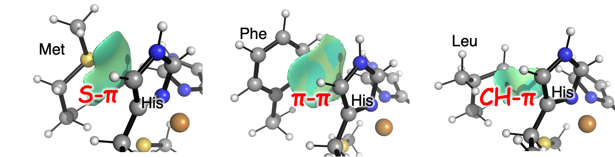 タンパク質中の弱い化学的相互作用の影響 <br>構造決定と量子化学計算による定量的評価に成功 <br>医薬品開発や触媒開発への応用に期待