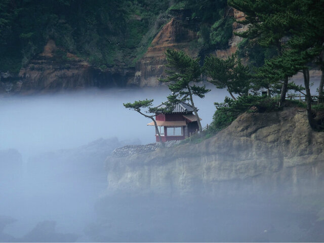 朝靄に包まれた六角堂