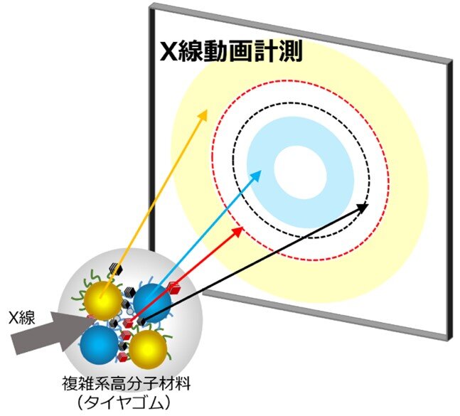 世界最速890ナノ秒で微粒子と高分子の動きを同時に捉えた！ <br>―高精度なタイヤゴム劣化評価の実現に近づく