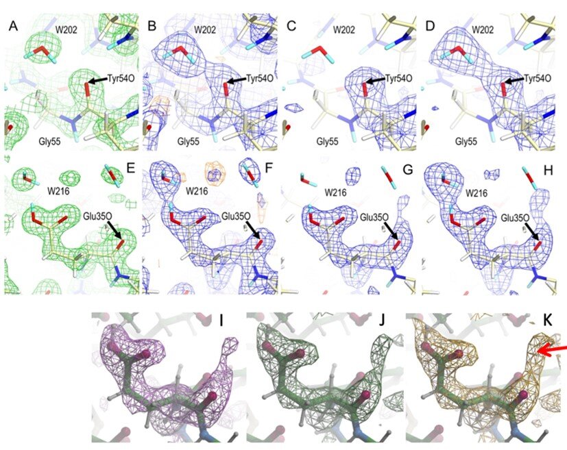 タンパク質の分子骨格が実は持っていた知られざる機能 <br>中性子で明らかに