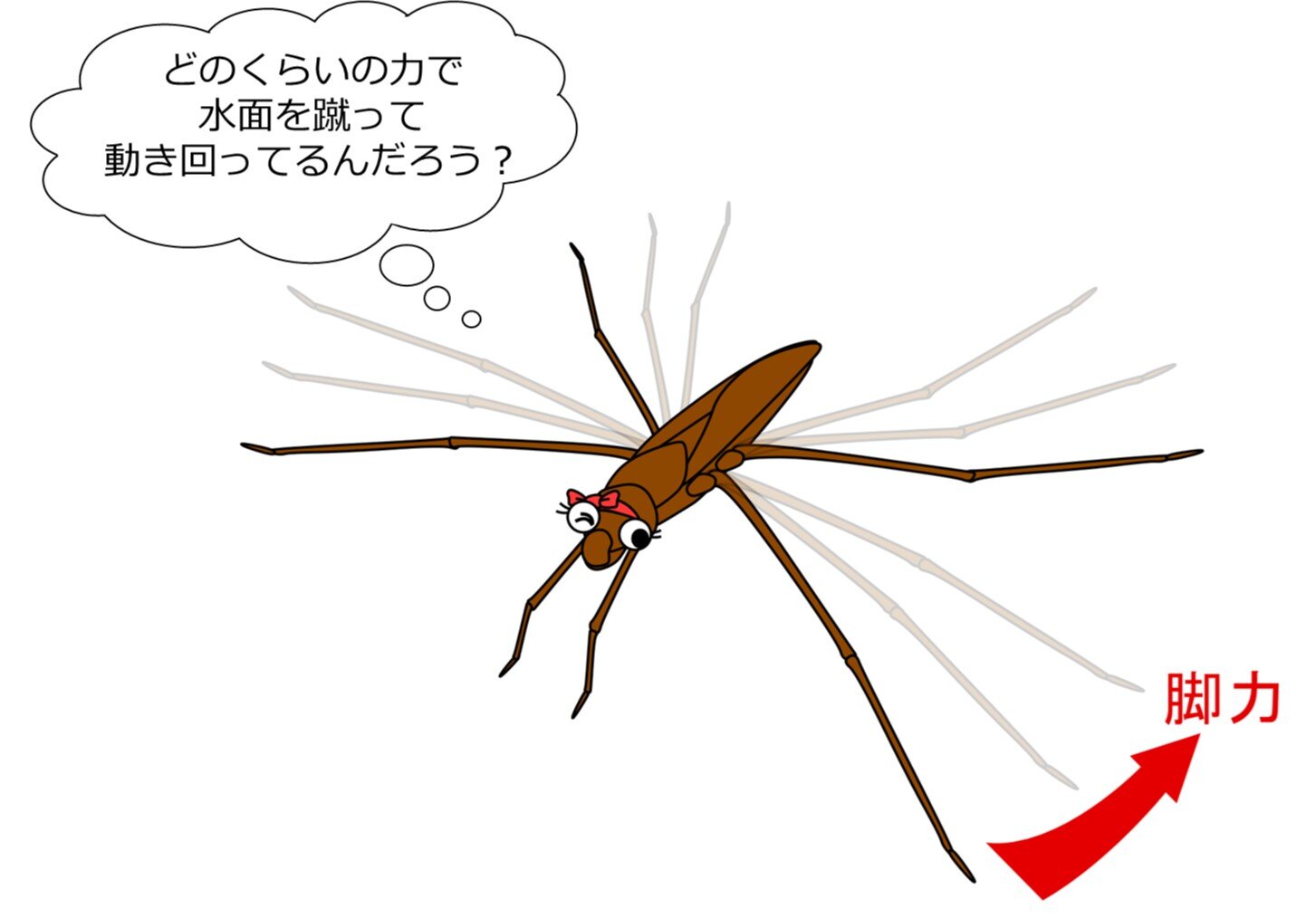 アメンボが水面を移動する際の中脚の脚力の直接測定に初めて成功 <br>新規開発の計測システムで従来技術より正確な脚力測定を実現 <br>アメンボの脚の撥水機能を応用した水面移動型超小型ロボットなどの開発に貢献