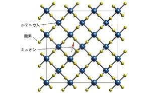酸化ルテニウムは本当に第三の磁性体か？ー素粒子ミュオンと第一原理計算で挑む「悪魔の証明」