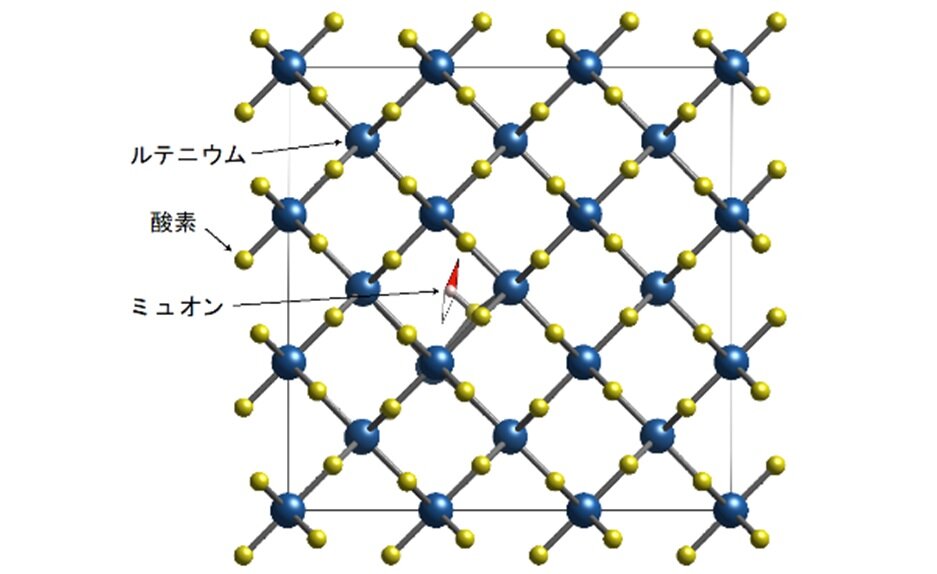 酸化ルテニウムは本当に第三の磁性体か？<br>ー素粒子ミュオンと第一原理計算で挑む「悪魔の証明」