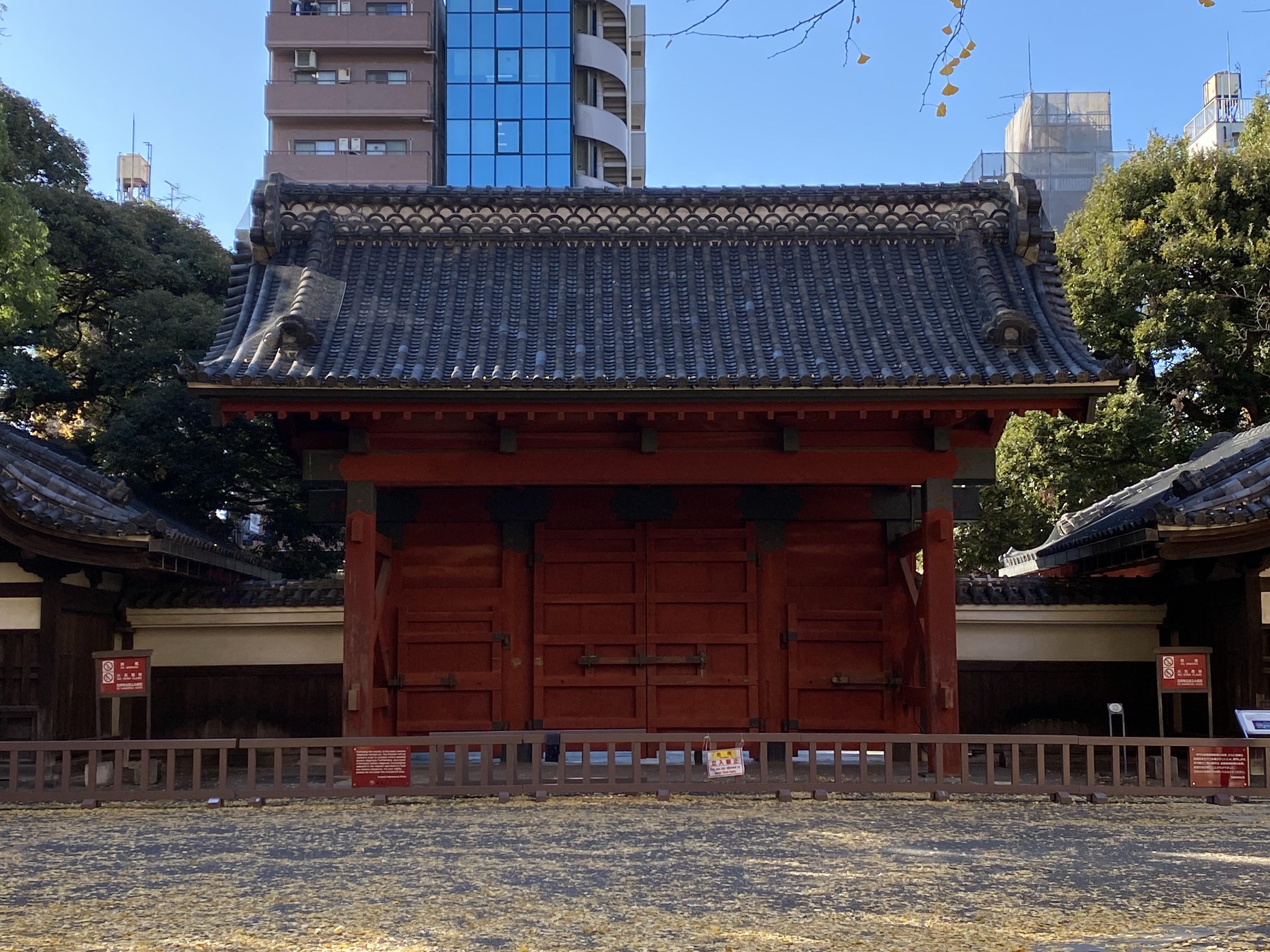 【サバティカル便り】人文社会科・伊藤純子講師「東京大学での研究生活」
