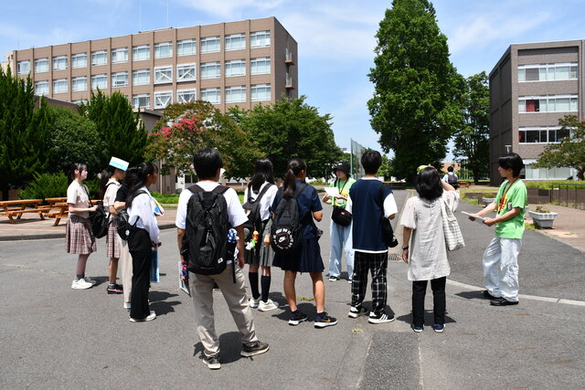 DSC_6880.JPG