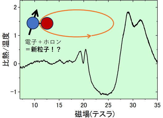 磁場下で電荷を持たない新粒子を観測<br>熱測定により、電荷中性の新粒子の量子化現象を発見