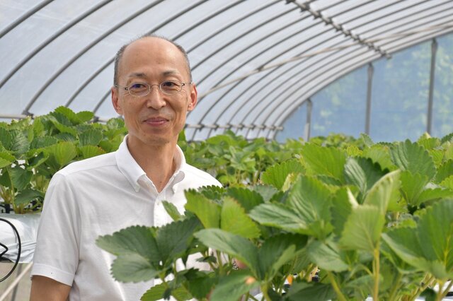 茨城大学発ベンチャー「(株)エンドファイト」が1.5億円の資金を調達<br>―取締役ＣＴＯを務める農・成澤才彦教授に聞く「変化」