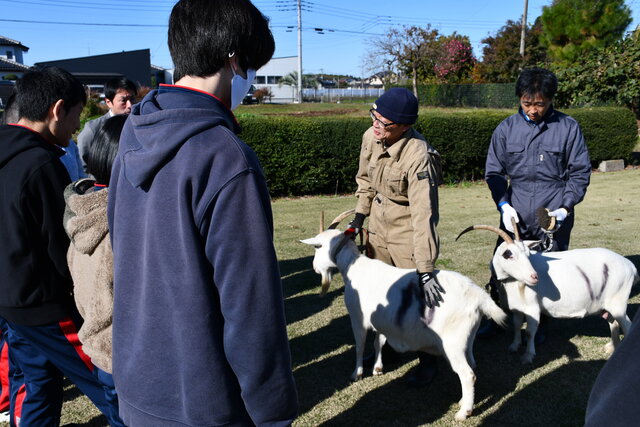 安江教授、阿部副校長とヤギ