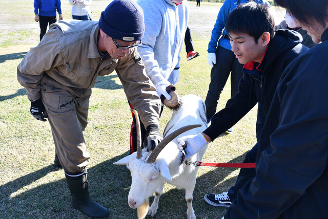 ヤギと安江教授、生徒たち