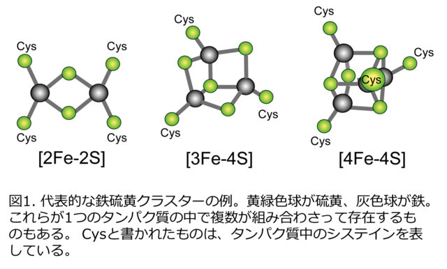 PressRelease_241202_figure1.png