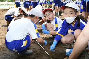 少ない水でお米を作ろう！教育学部附属小学校×農学部