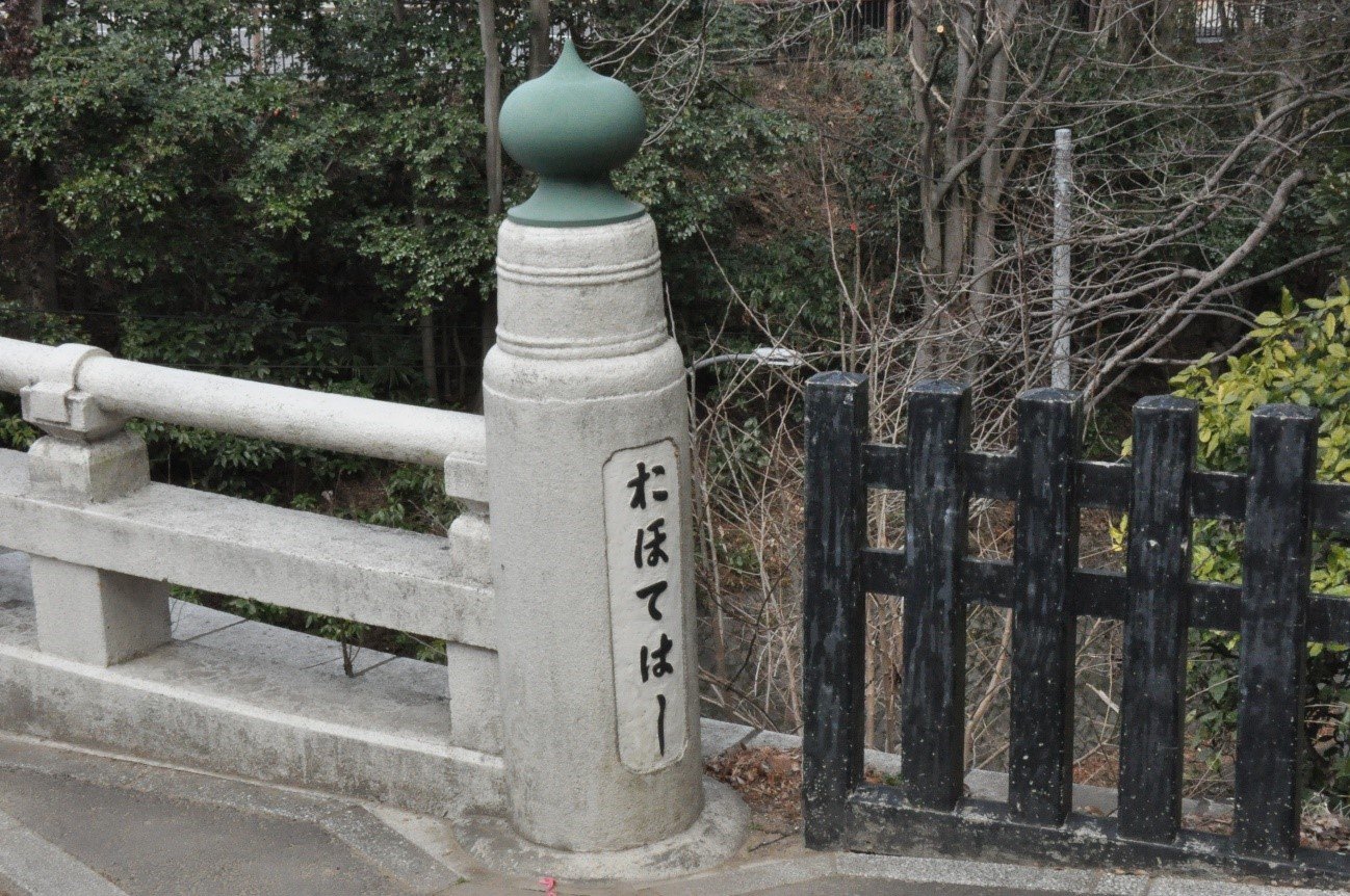 再建されたばかりの旧水戸城大手門を附属小の子どもたちが見学 同行しながら考えたこと News 茨城大学 再建されたばかりの旧水戸城大手門を附属小の子どもたちが見学 同行しながら考えたこと News 茨城大学