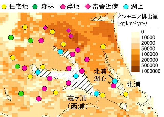 霞ヶ浦流域におけるアンモニア排出量の推計マップとサンプリング地点