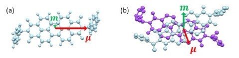 図4．(R,R)-BPPの電気遷移双極子モーメント()と磁気遷移双極子モーメント(m)
(a) 単一分子
(b) ２量体