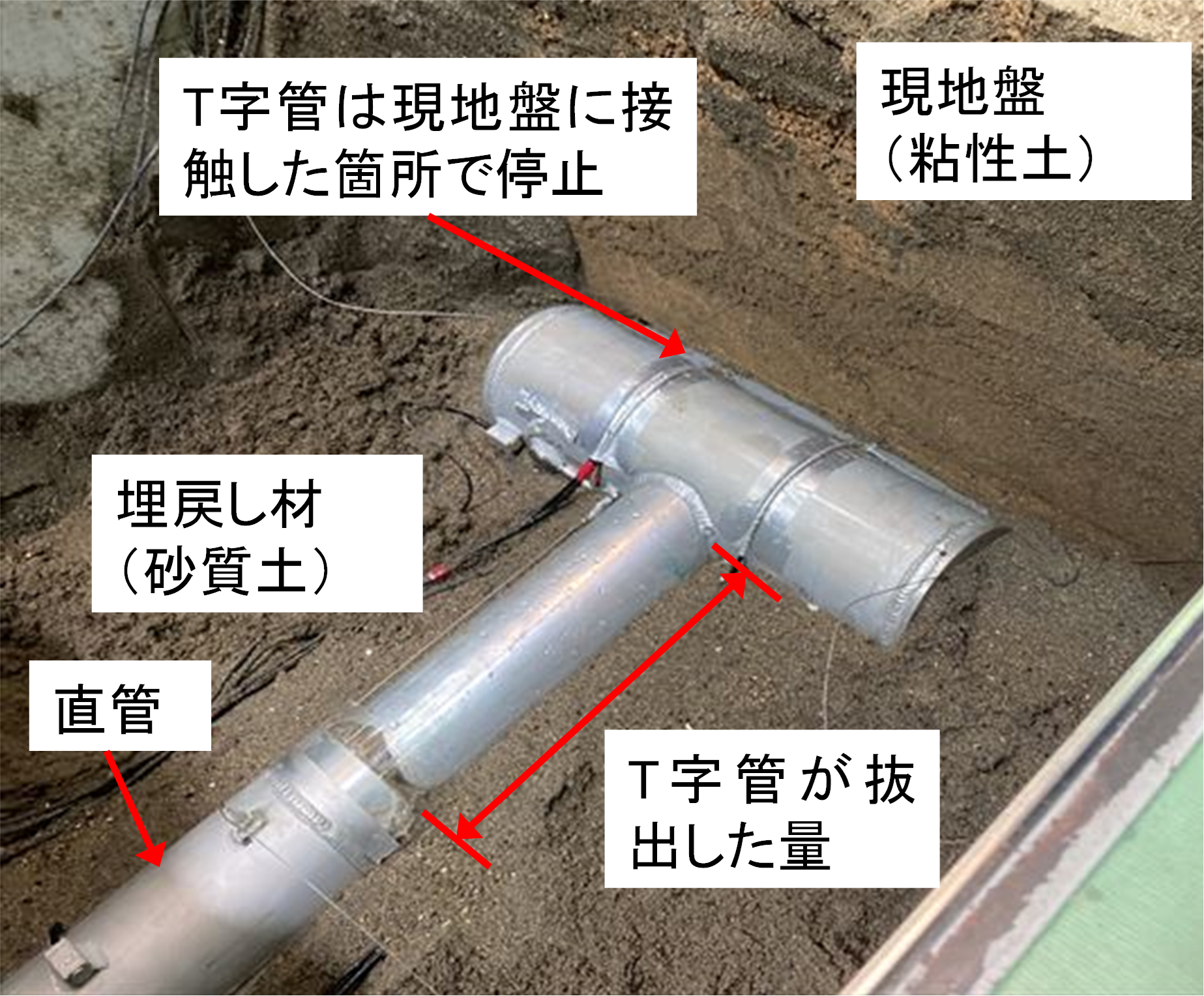 振動実験後に地盤を開削した状況