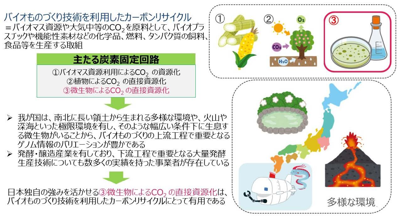 カーボンリサイクルにおける微生物への期待