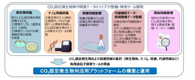 固定微生物利活用プラットフォーム