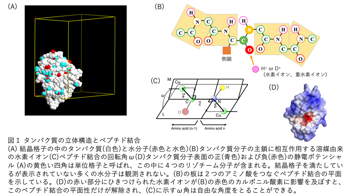 図１