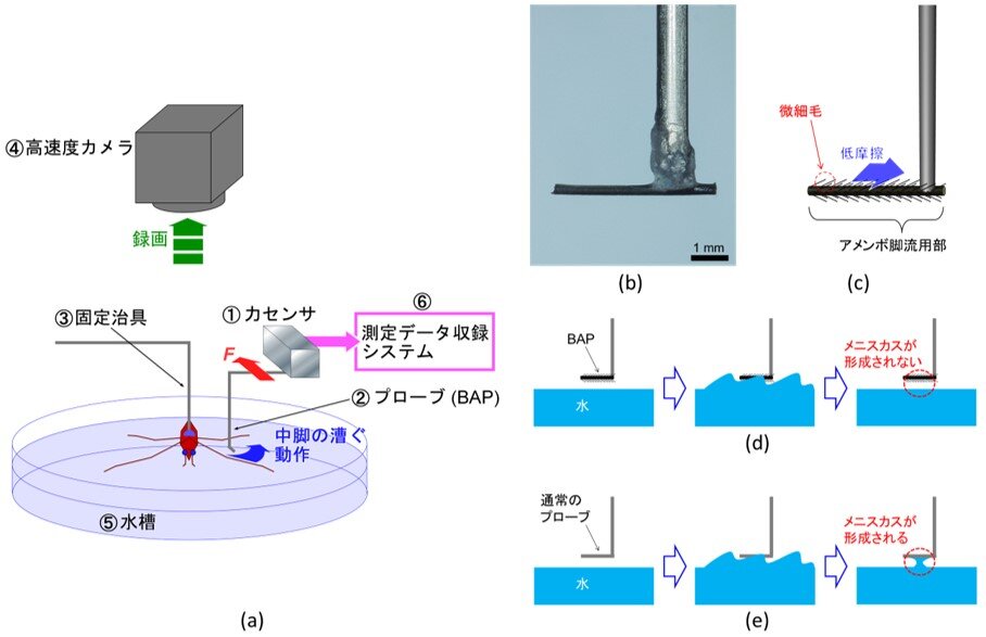 図３　アメンボ脚力直接測定システム(a)とbio-appropriating probe: BAP(b,c)，及びBAPと通常プローブとの撥水機能の比較（d,e）