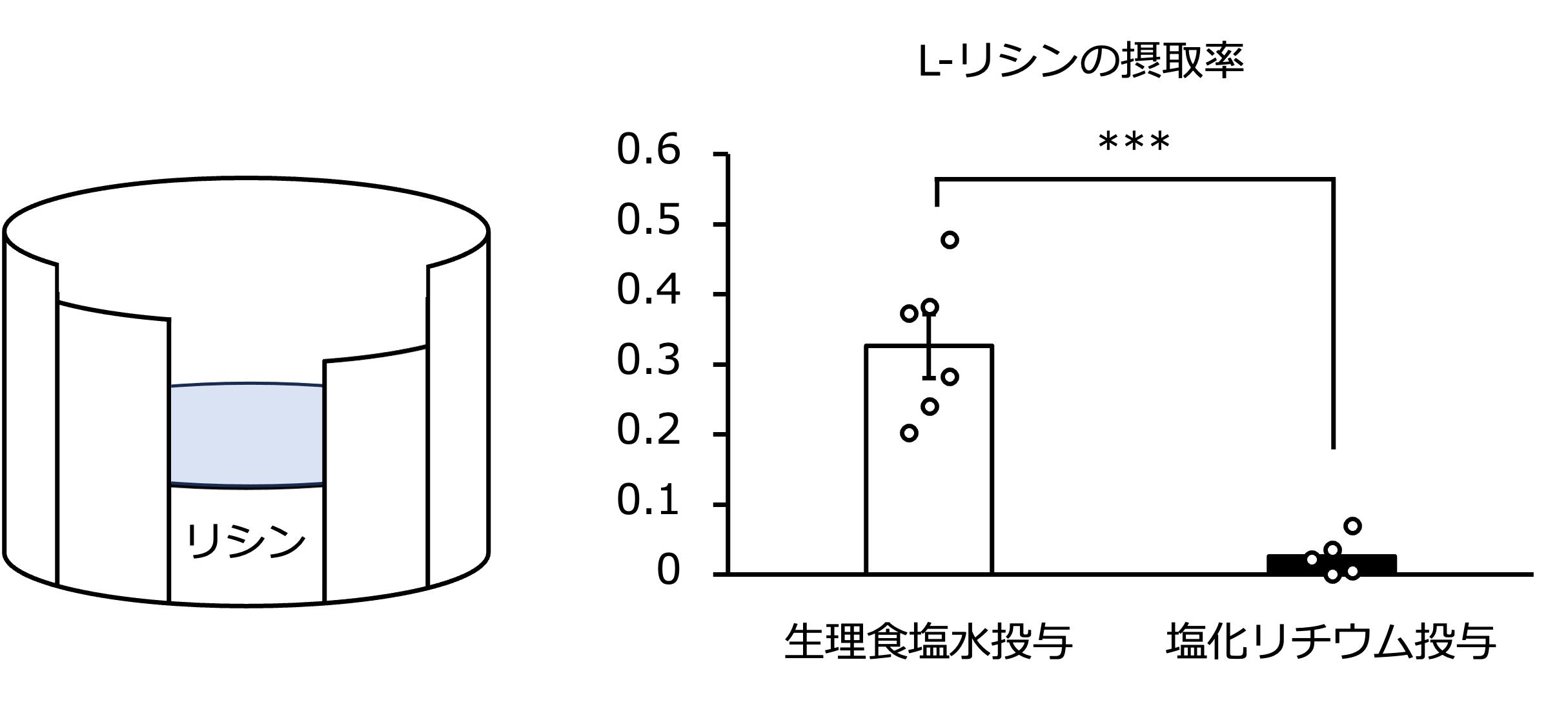 図2　ニワトリにおけるL-リシンに対する味覚嫌悪学習応答