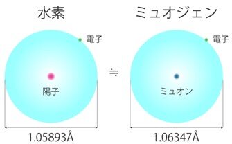 正の電荷を持つミュオンは物質中の電子を捕獲して水素原子（左）とよく似た原子をつくり、「ミュオジェン」と呼ばれる（右）。