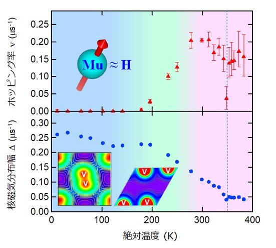 μSR実験より得られた擬水素ミュオン(Mu)のホッピング率ν（赤三角）と核磁気分布幅Δ（青丸）の温度依存性。青い点線は摂氏67度で、VO2が結晶構造相転移を起こす。