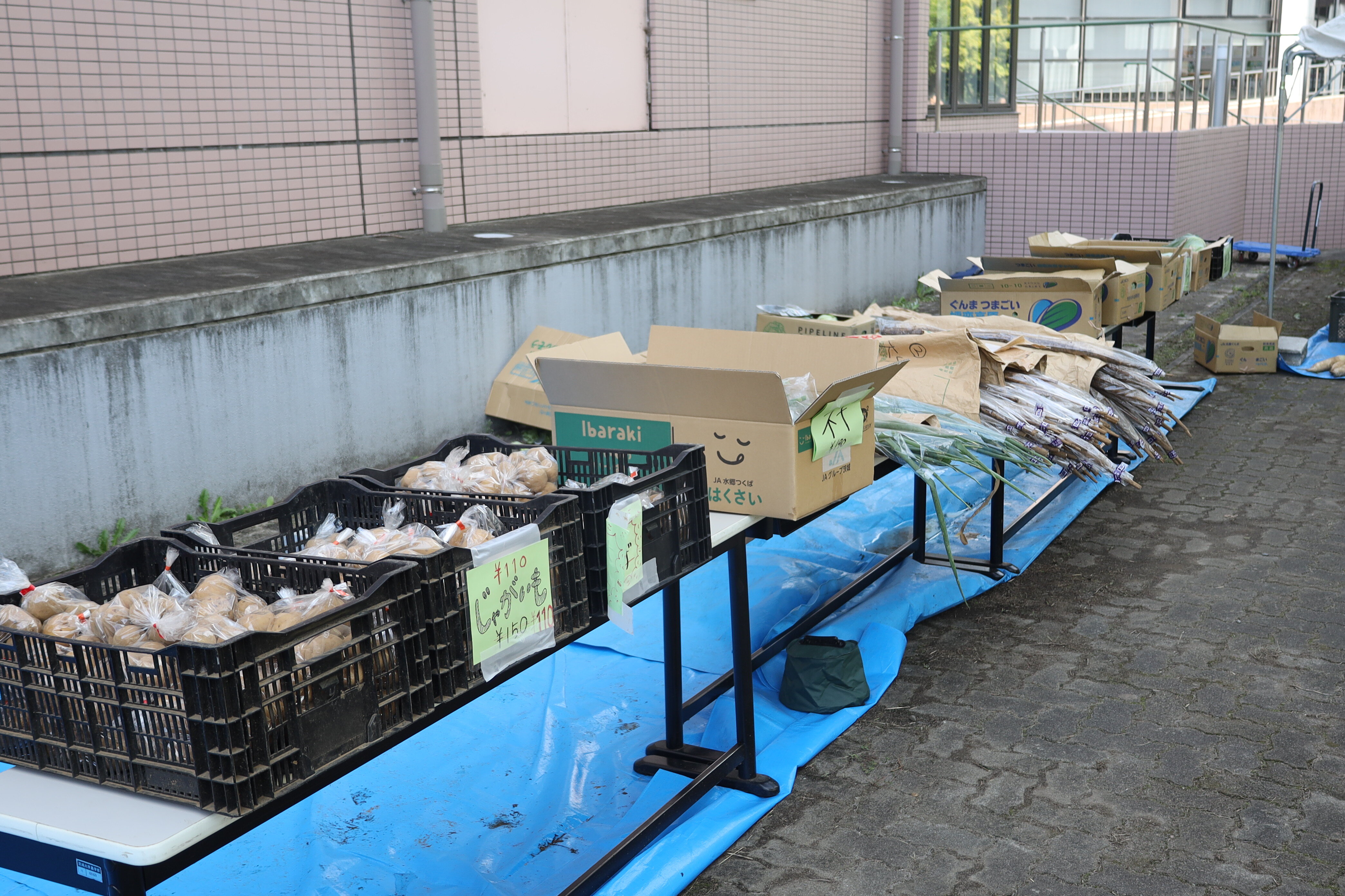 4. 野菜販売ブース.JPG
