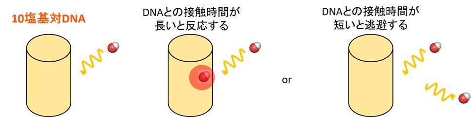 0307_figure3.jpg