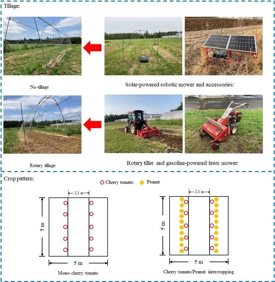 PressRelease_250416_figure1.jpg