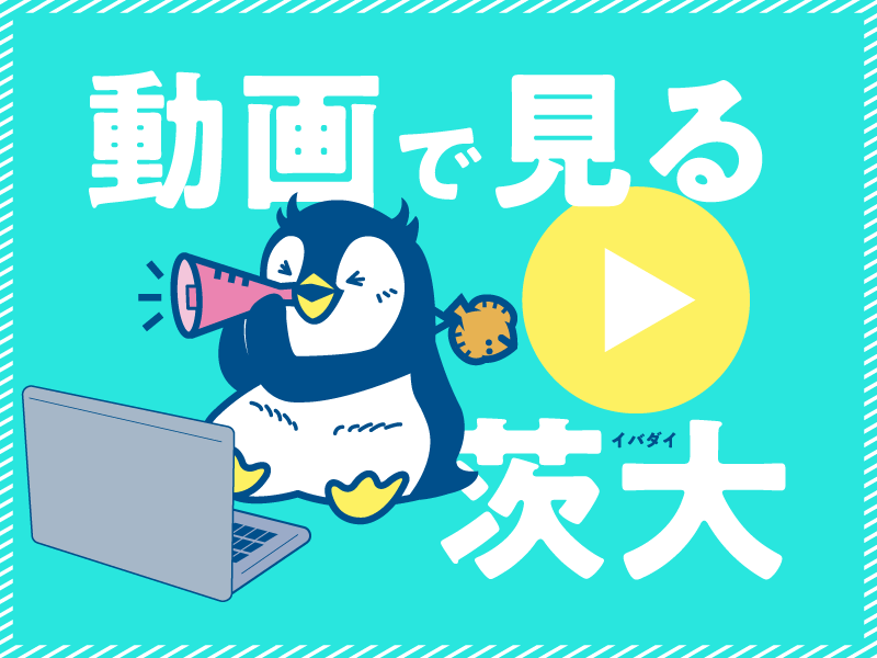 動画で見る茨大